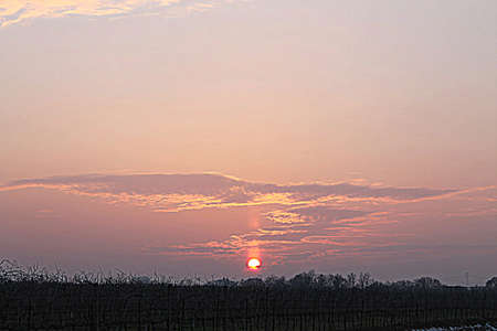 sunsetの写真素材