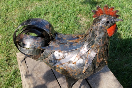 rooster lawnの写真素材