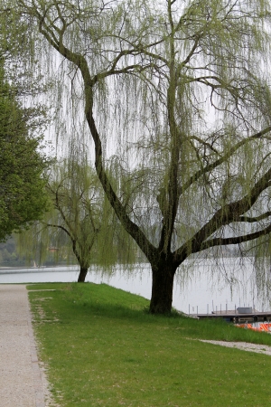 lake landscapeの写真素材