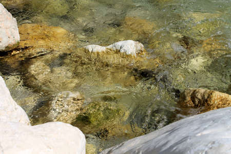 stream in the woods