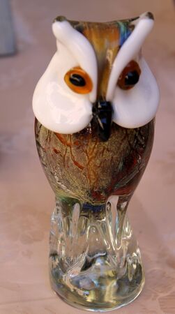 owl glassの写真素材