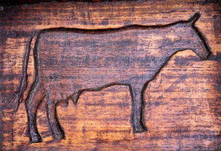 cow inlaidの写真素材