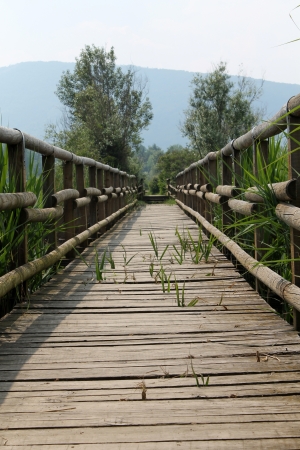 wooden bridge on the lakeの写真素材