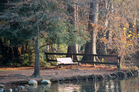 landscape lakeの写真素材