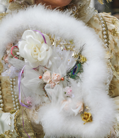 carnival costumeの写真素材