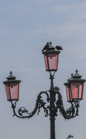 old street lampの写真素材