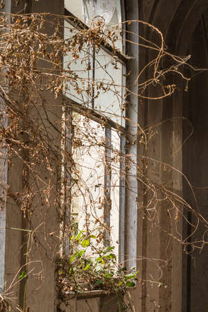 detail of ruined house