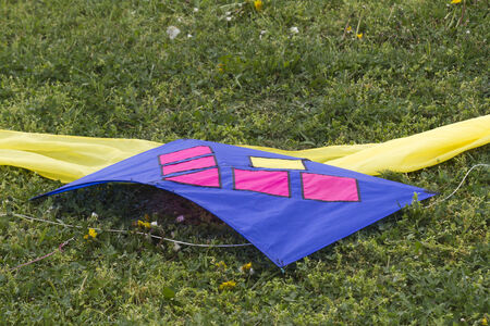 colorful kites on the lawn