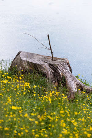 landscape lakeの写真素材