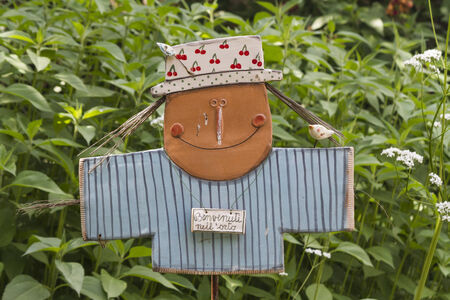 Scarecrow in gardenの写真素材