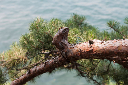 lakescapeの写真素材