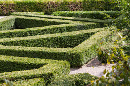 maze in the gardenの写真素材