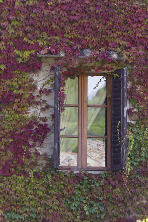 window of the houseの写真素材