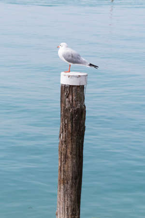 landscape lakeの写真素材