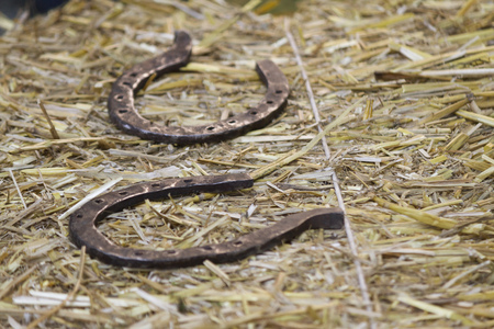 horseshoeの写真素材