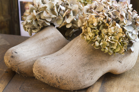 wooden clogs