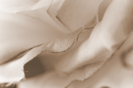 roses art of clothの写真素材