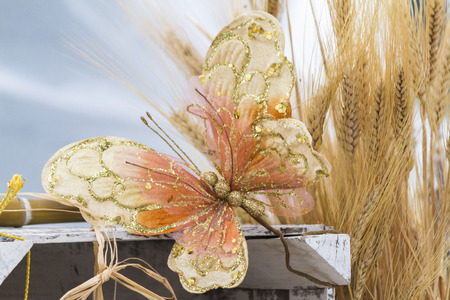 colored handmade butterflyの写真素材