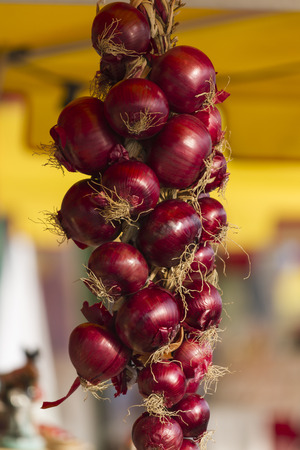 onionの写真素材