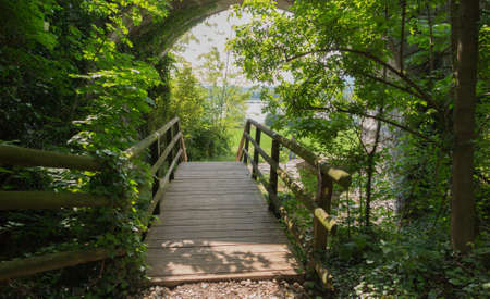 walk in the woods