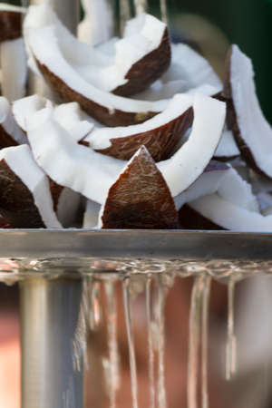 fresh coconut in the streetの写真素材