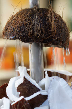 fresh coconut in the streetの写真素材