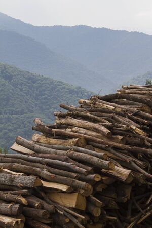 pile of wood in the mountains