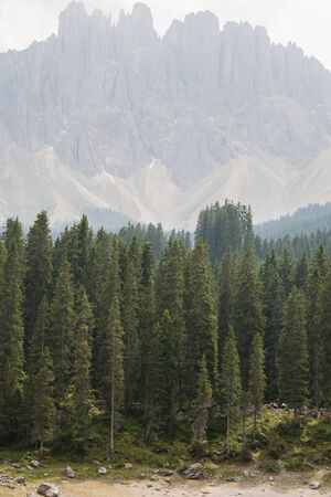 mountain landscapeの写真素材