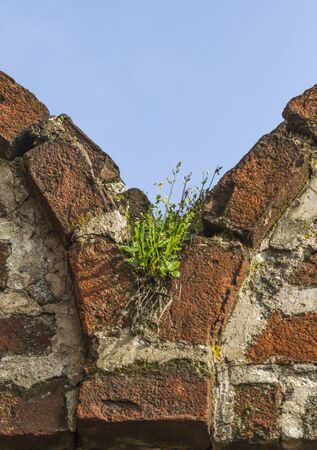 antique ancient walls of castleの写真素材