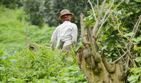 People working in the fieldsの写真素材