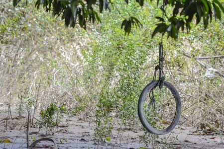 old tool in the fieldの写真素材