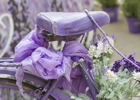 bike ride and lavenderの写真素材