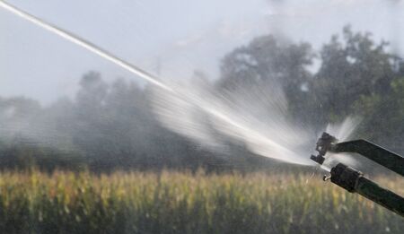 irrigation fields