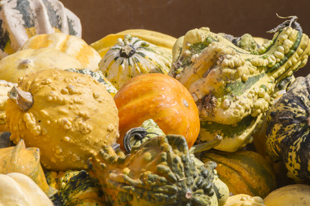 decorative pumpkins