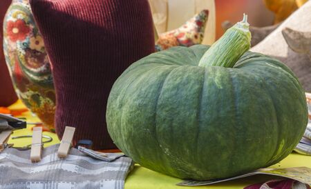 pumpkin in autumnの写真素材