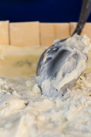 typical Italian gorgonzola cheeseの写真素材
