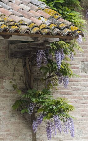 angle architecturalの写真素材