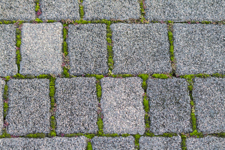 rectangular tiles in the garden