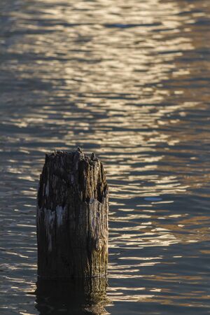 reflection on lake