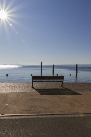 bench at lakeの写真素材