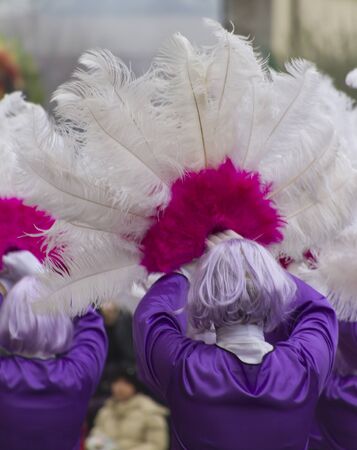 masks and plumage at the carnivalの写真素材