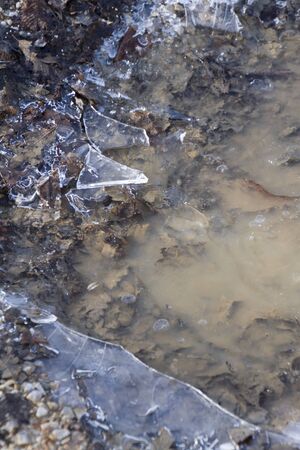 Ice in the puddle