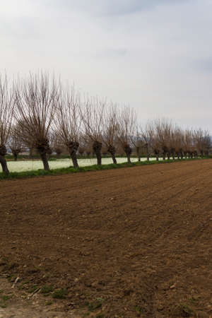 cultivated fieldの写真素材