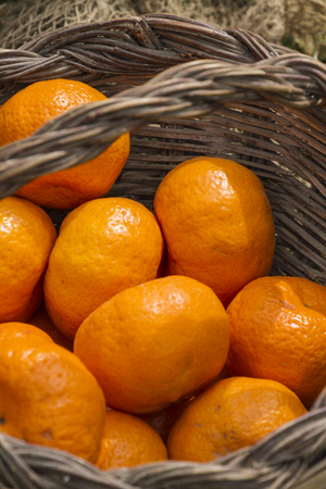 lemon and citrusの写真素材