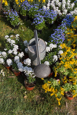 watering can and flower in the gardenの写真素材