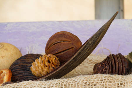 ornamental dried fruits