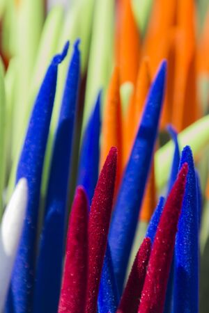 succulent plantの写真素材