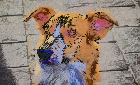 dog at lakeの写真素材