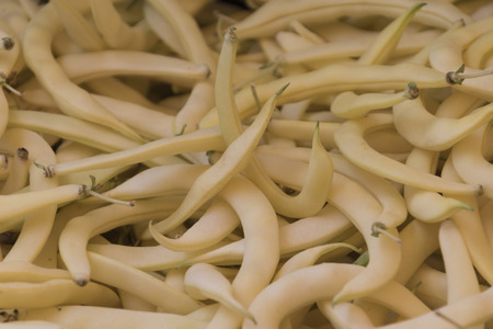 yellow beansの写真素材