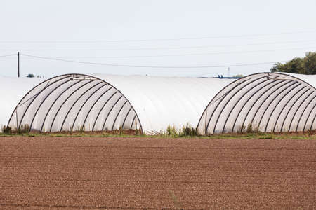 cultivation in greenhousesの写真素材